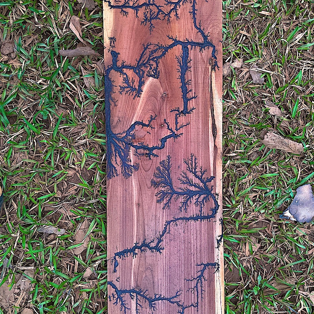 Fractal Wood (Electrocuted Wood) versatile art